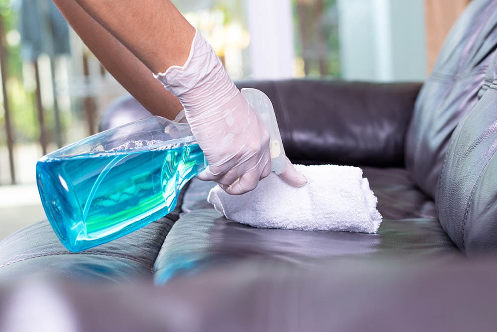 How to Get Pet Pee Smell Out of a Leather Couch: 5 Possible Ways