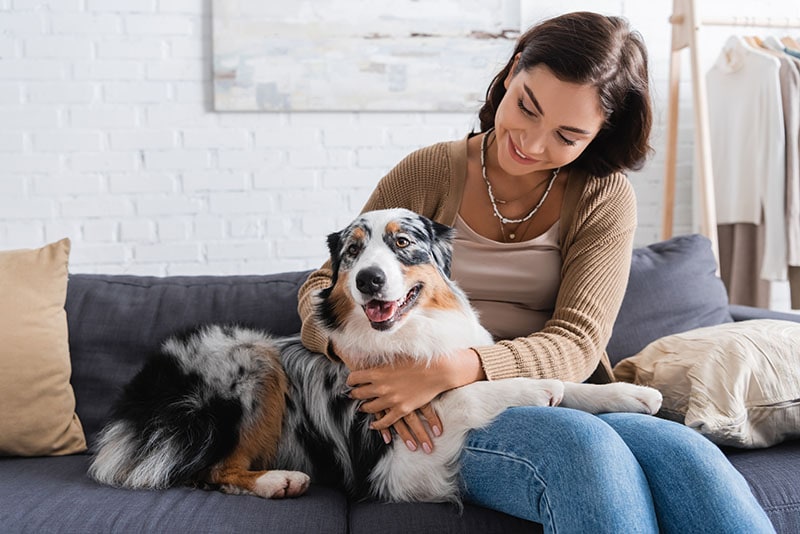 How Many Dogs Are You Allowed to Own? Location & Legalities Explained