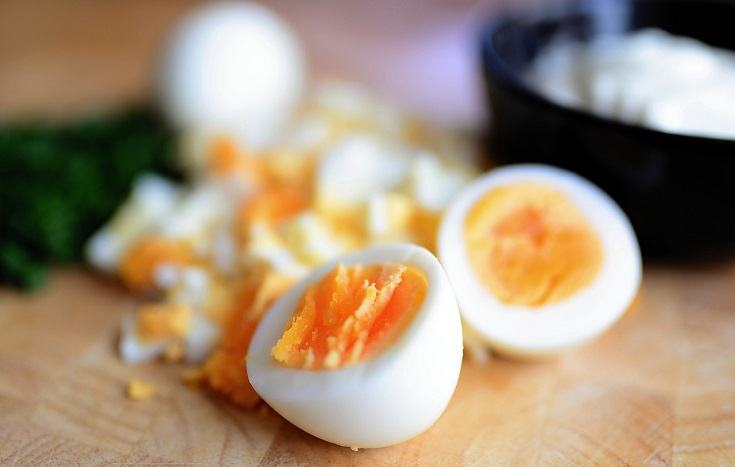Can Dogs Be Allergic to Eggs? (Vet Answer)