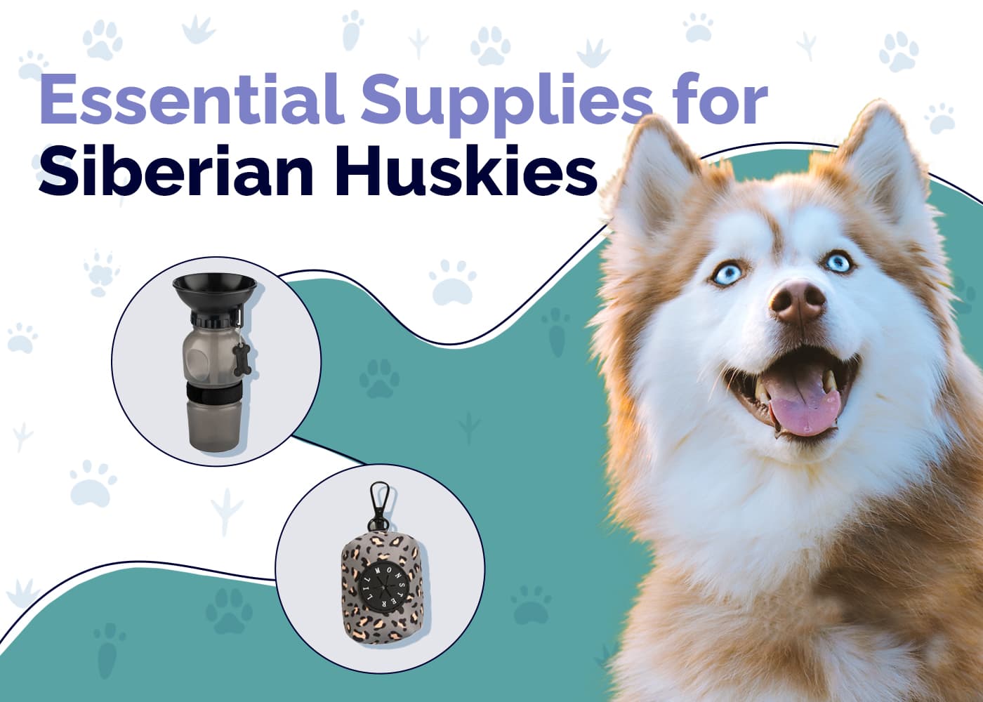 23 Essential Siberian Husky Supplies to Get You Started: 2026 Update