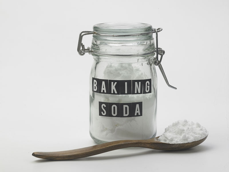 Will Baking Soda Kill Fleas? Our Vet Explains