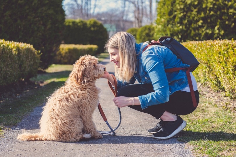 How to Entertain Your Dog: 34 Easy & Fun Ways