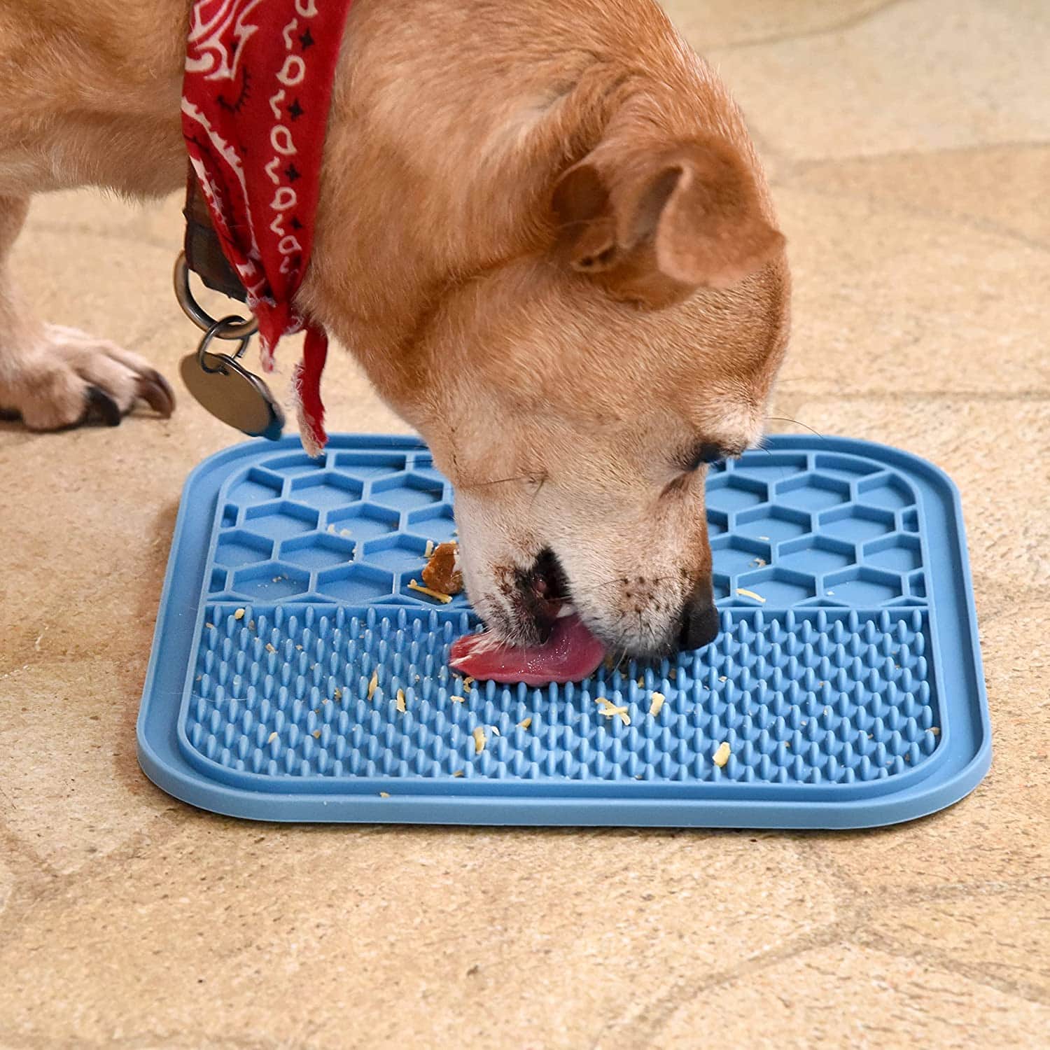 6 Benefits of Lick Mats for Dogs: Canine Health and Wellness