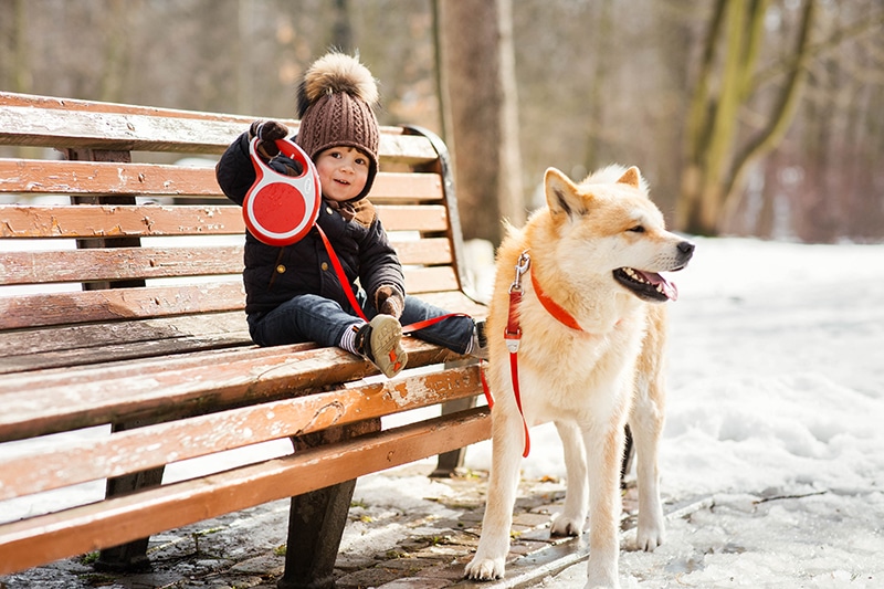 12 Best Waterproof Dog Collars in 2026 - Reviews & Top Picks
