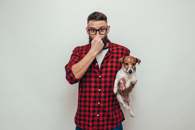 Why Does My Puppy Fart So Much? 10 Vet-Verified Reasons