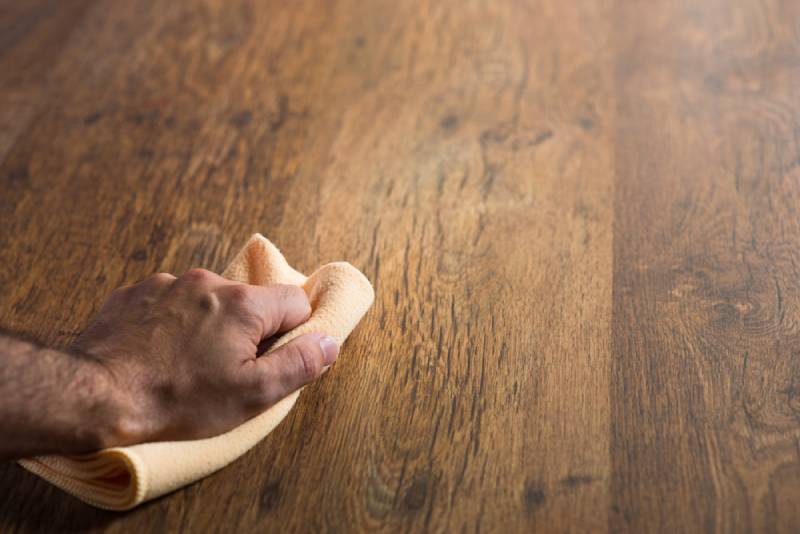 How to Clean Dog Vomit on Hardwood: 4 Effective Methods