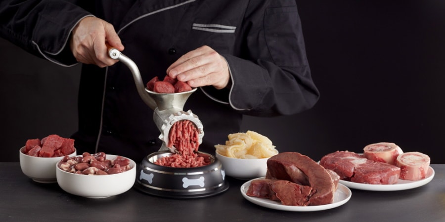 Is It Cheaper to Make Your Own Dog Food? Vet-Approved Facts & Advice