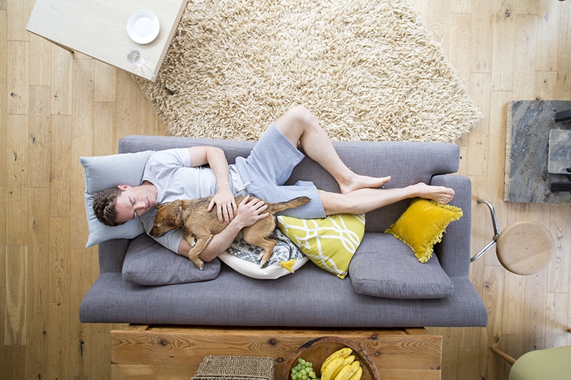 Why Does My Dog Lie On Me? 8 Vet-Verified Reasons