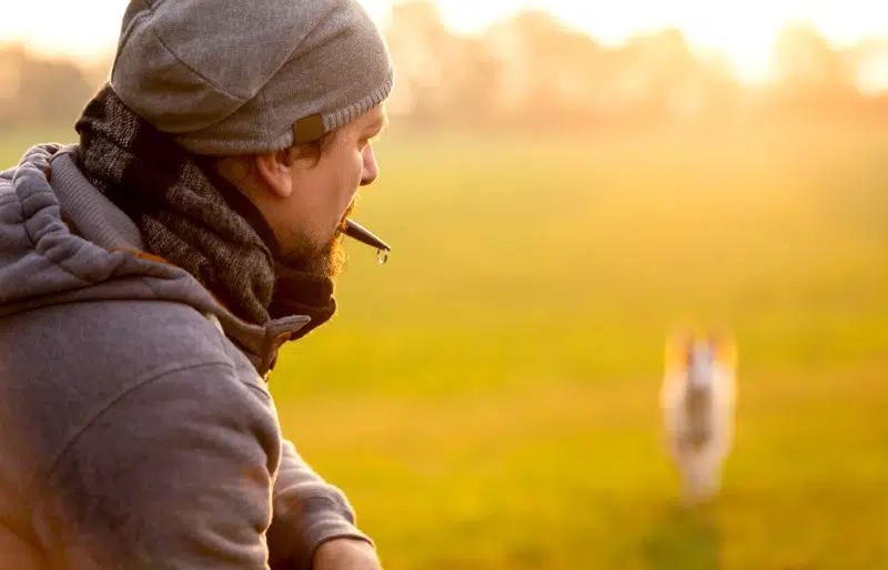 10 Best Dog Whistles in 2026 - Reviews & Top Picks