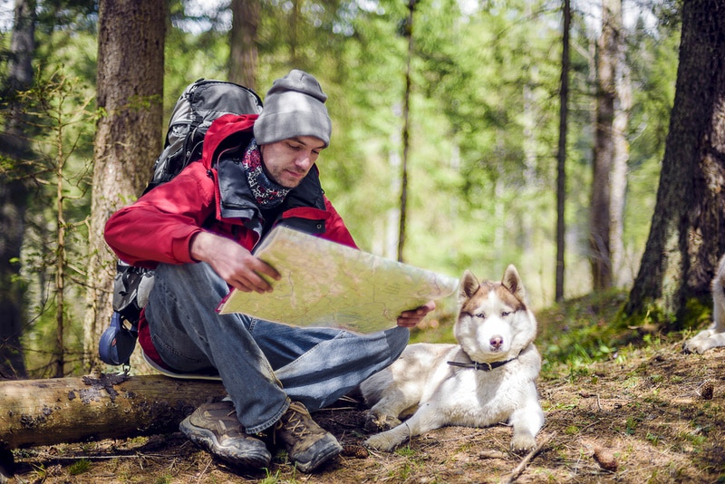 10 Dog-Friendly Hiking Trails in Upstate NY in 2026 (With Pictures)