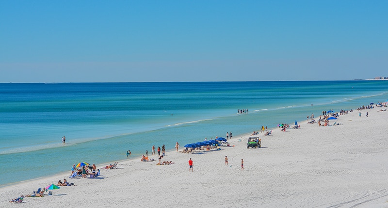 Are Dogs Allowed on Miramar Beach? Local Rules Explained