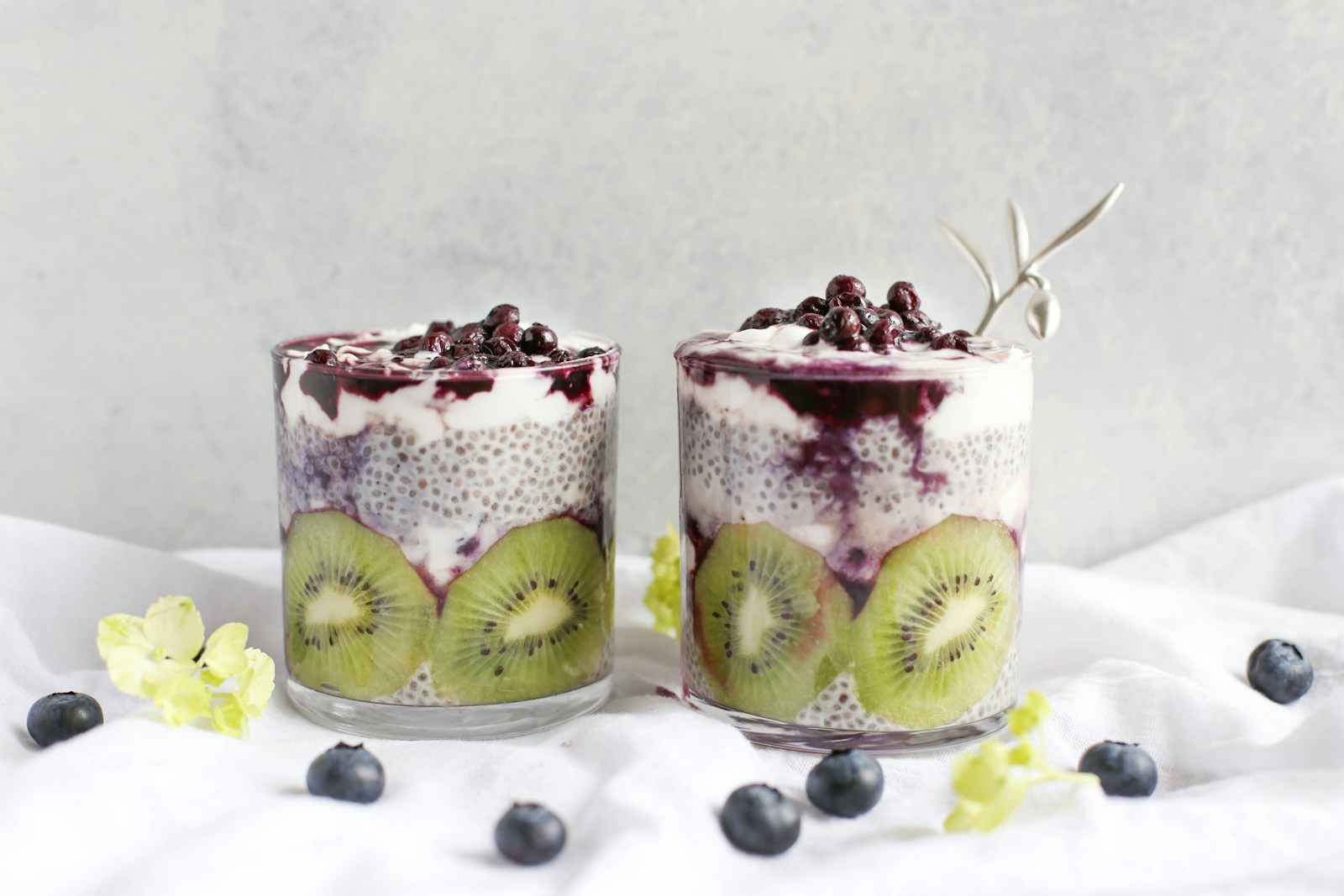 Can Dogs Have Chia Seed Pudding? Vet-Reviewed Health & Nutrition Guide