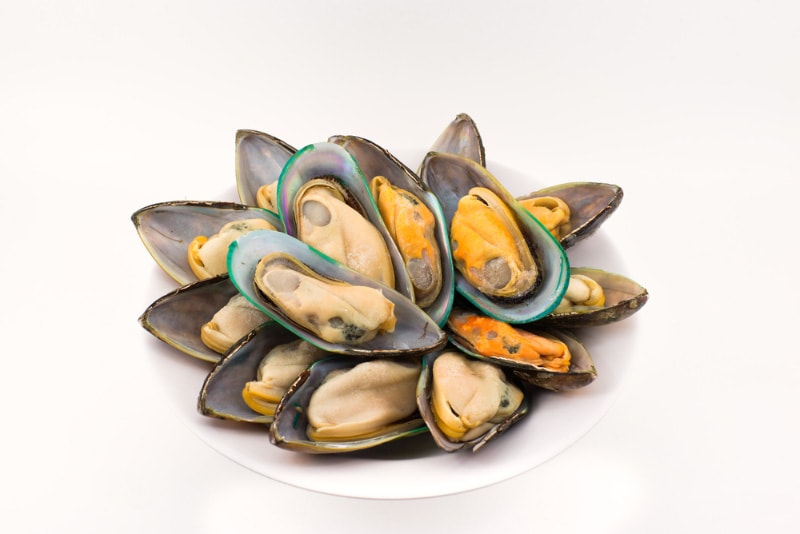 Green Lipped Mussels for Dogs: Vet-Verified Facts & FAQ