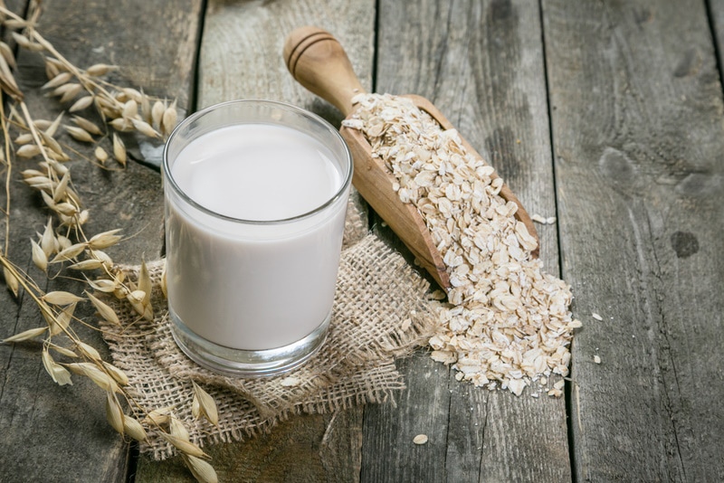 Can Dogs Drink Oat Milk? Vet-Reviewed Facts & FAQ