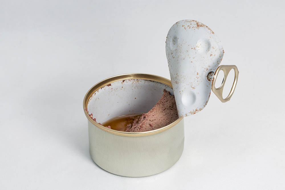 What to Do With Leftover Dog Food? 6 Great Ideas