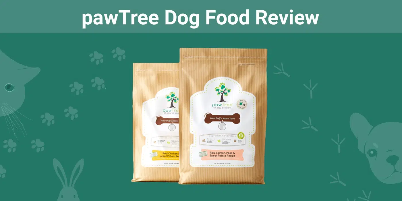 pawTree Dog Food & Treats Review 2026: An Expert's Breakdown