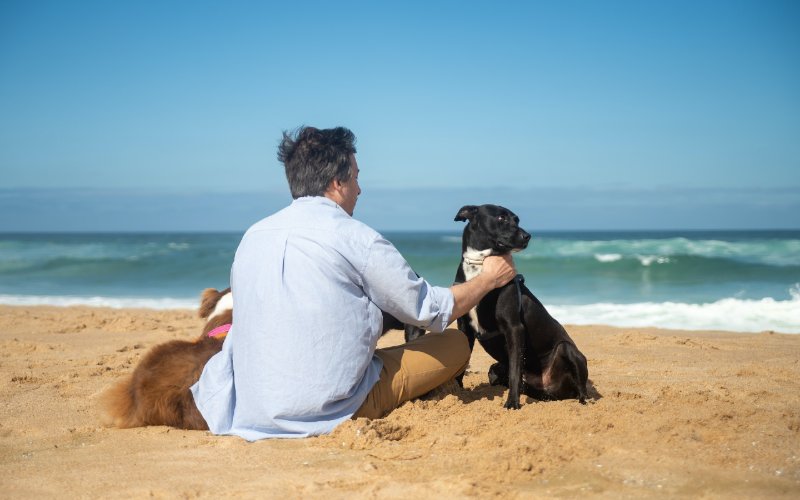 10 Dog-Friendly Beaches in Maryland to Visit in 2026