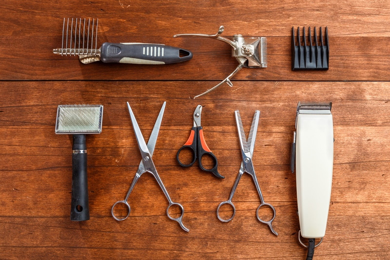 pet grooming tools