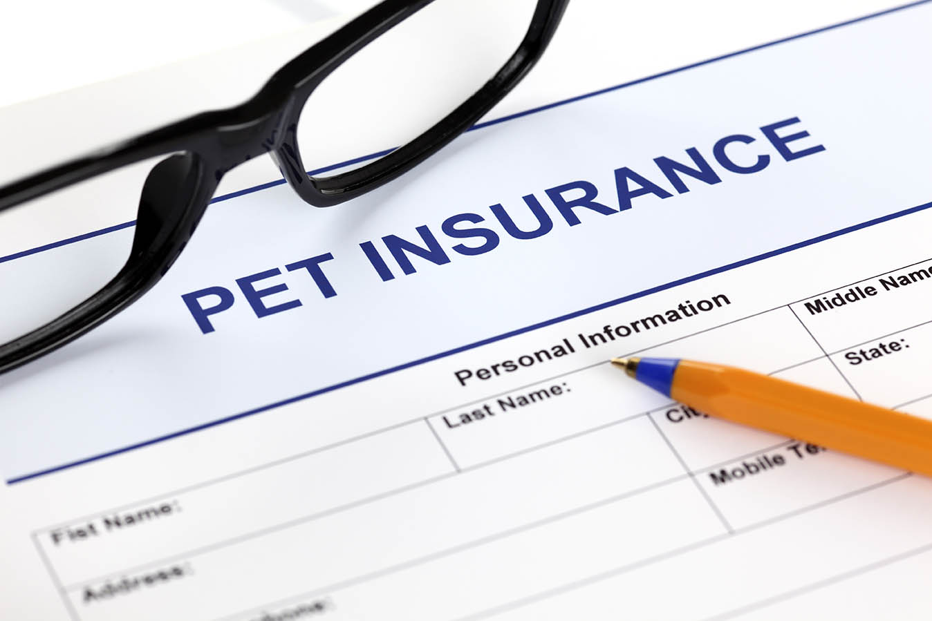 What Does Pet Insurance Cover? How It Works, Facts & FAQ