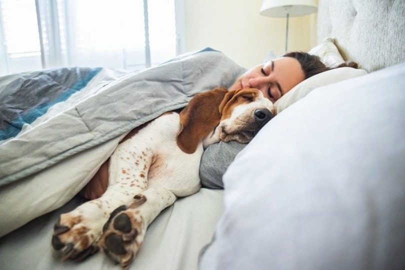 How Much DNA Do We Share With Dogs? What the Science Says