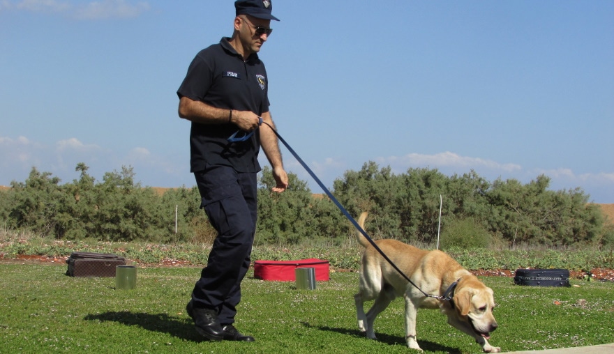 How Long Does It Take to Train a Police Dog? Age & Duration Explained