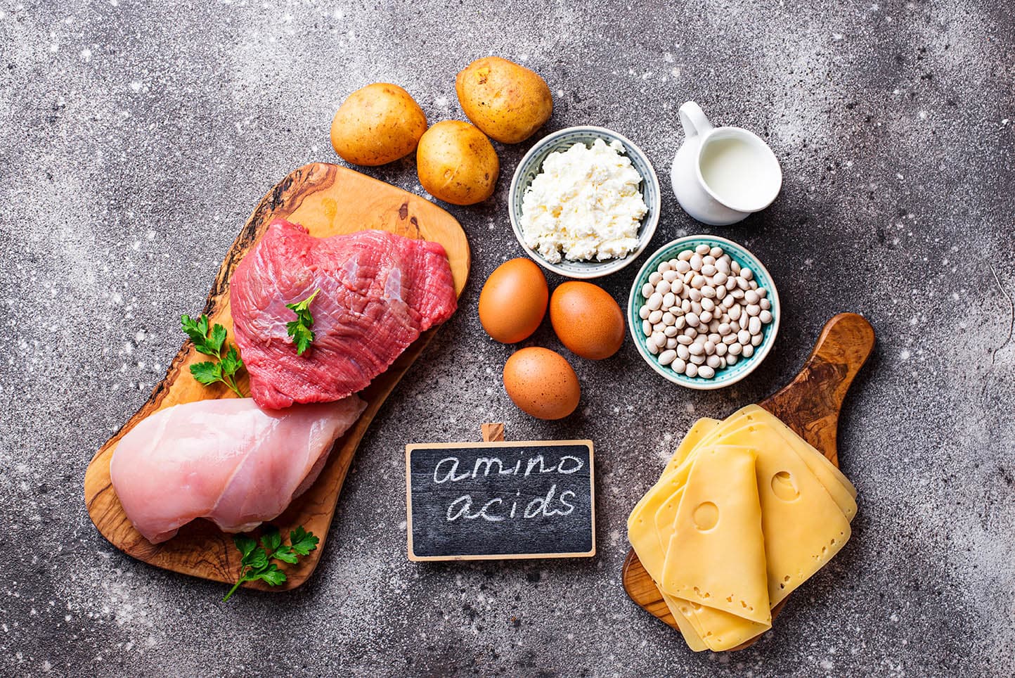 Essential and Non-Essential Amino Acids for Dogs: Vet-Verified Facts & FAQ
