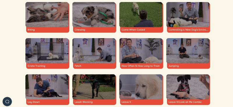 pupford training courses