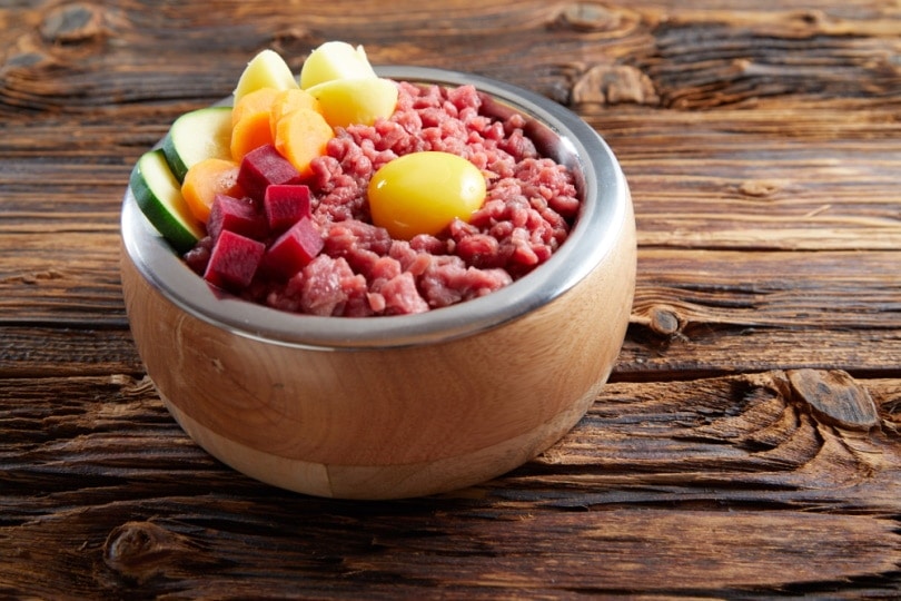 10 Best Raw Dog Food Delivery Services in 2026 - Reviews & Top Picks