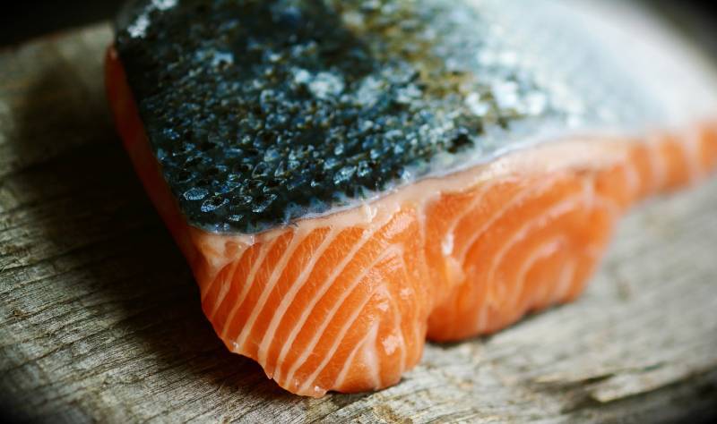 How to Cook Salmon for Dogs: Vet-Approved Recipes & What to Know