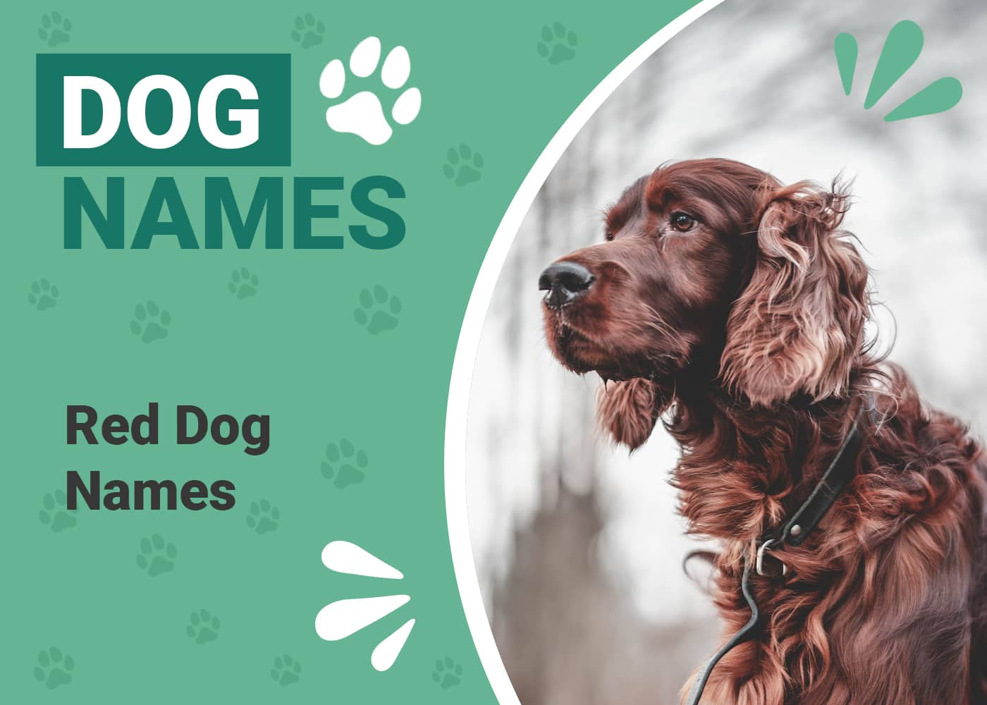 195 Red Dog Names: Top Names for Fiery Canines
