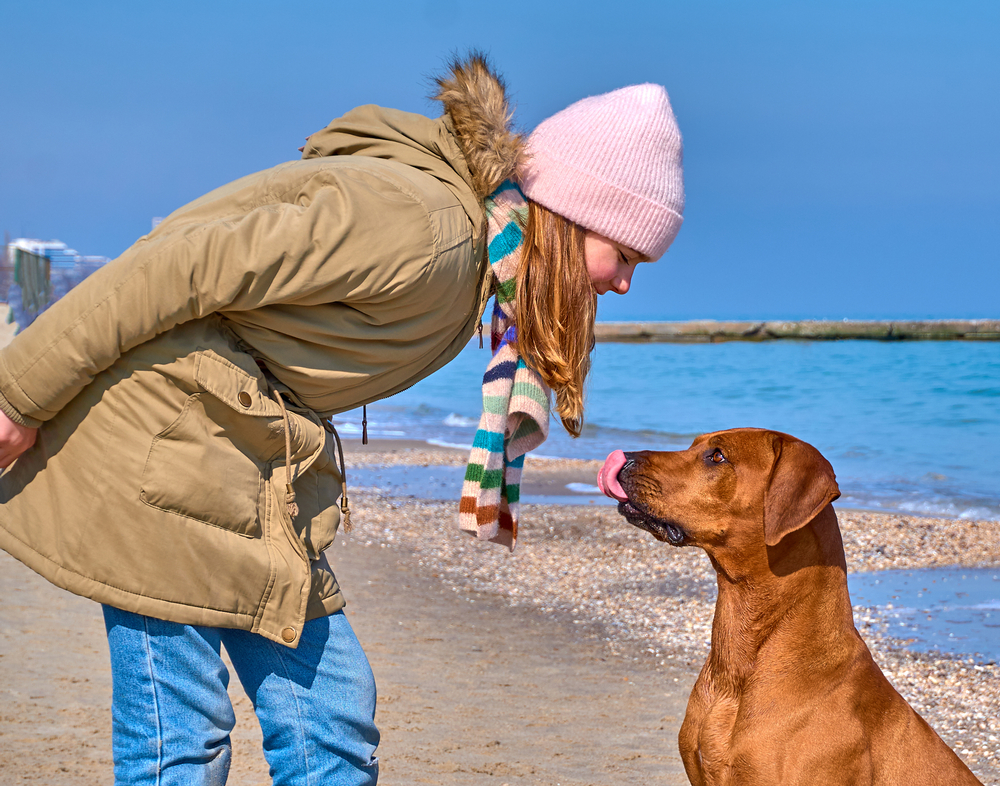 Do You Tip a Dog Walker, Pet Sitter, or Groomer? Here's the Standard