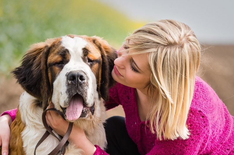 Saint Bernard Day 2026: When & What It Is