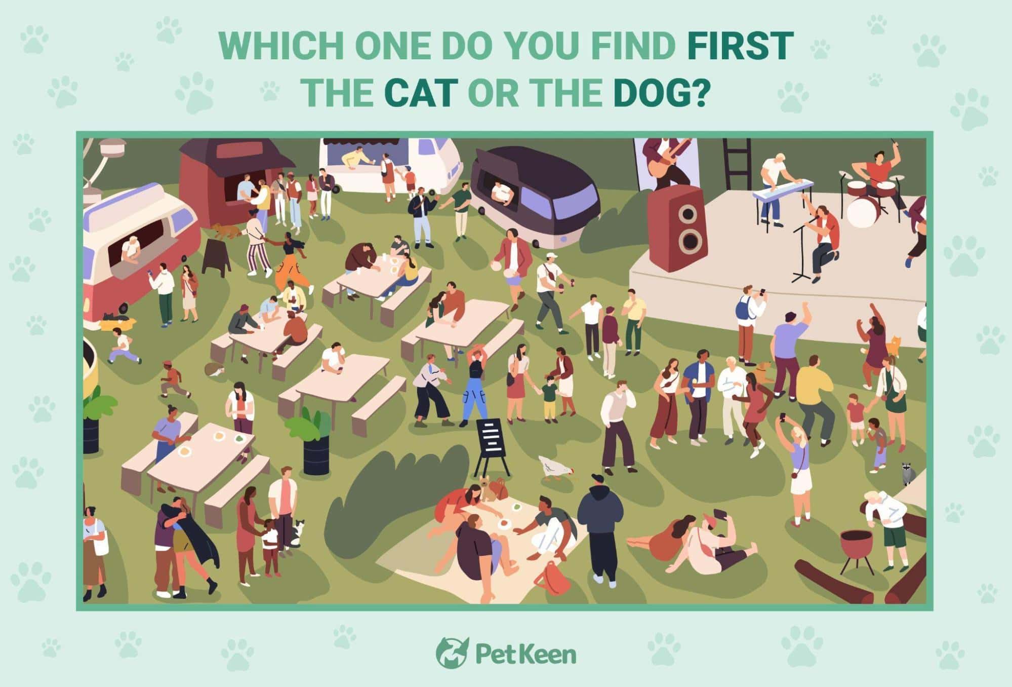 search-and-find puzzle - image 2