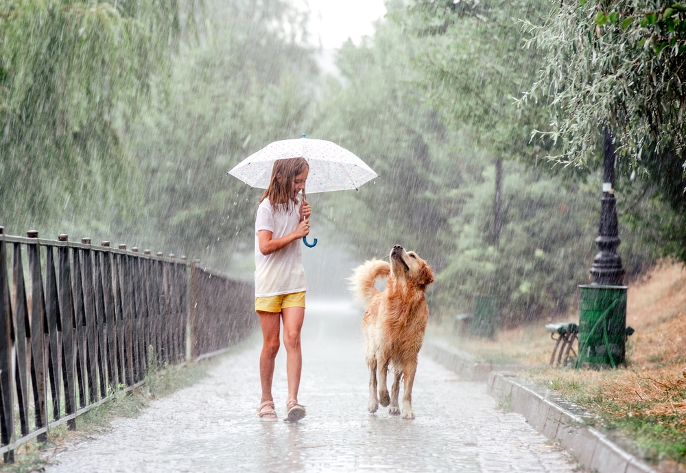 How to Walk a Dog in the Rain: 7 Vet-Reviewed Wet Weather Tips