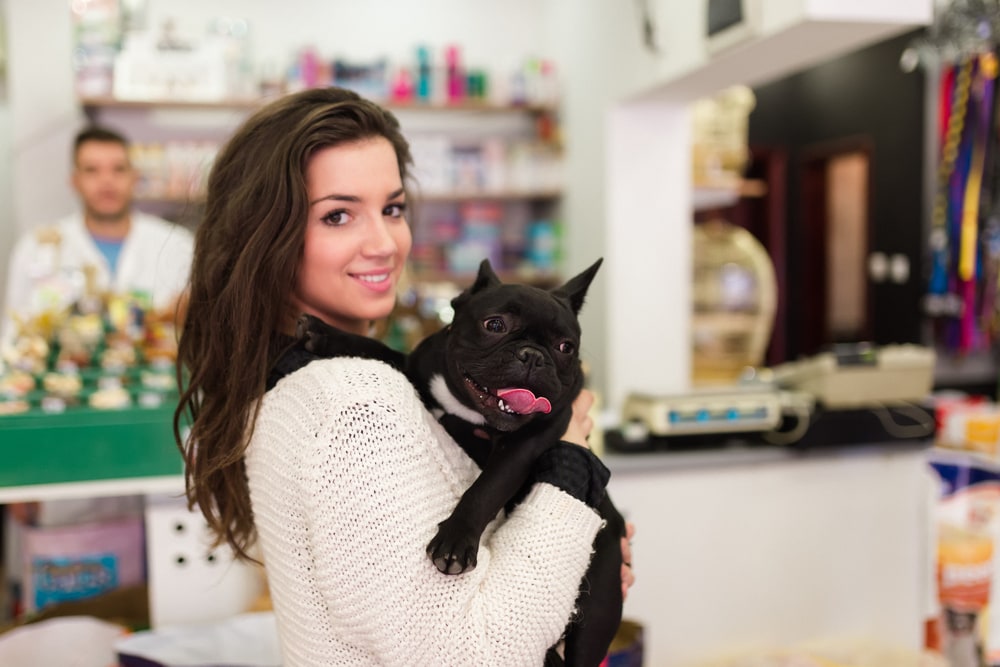 How to Pick Up a French Bulldog Properly: 5 Vet-Approved Tips