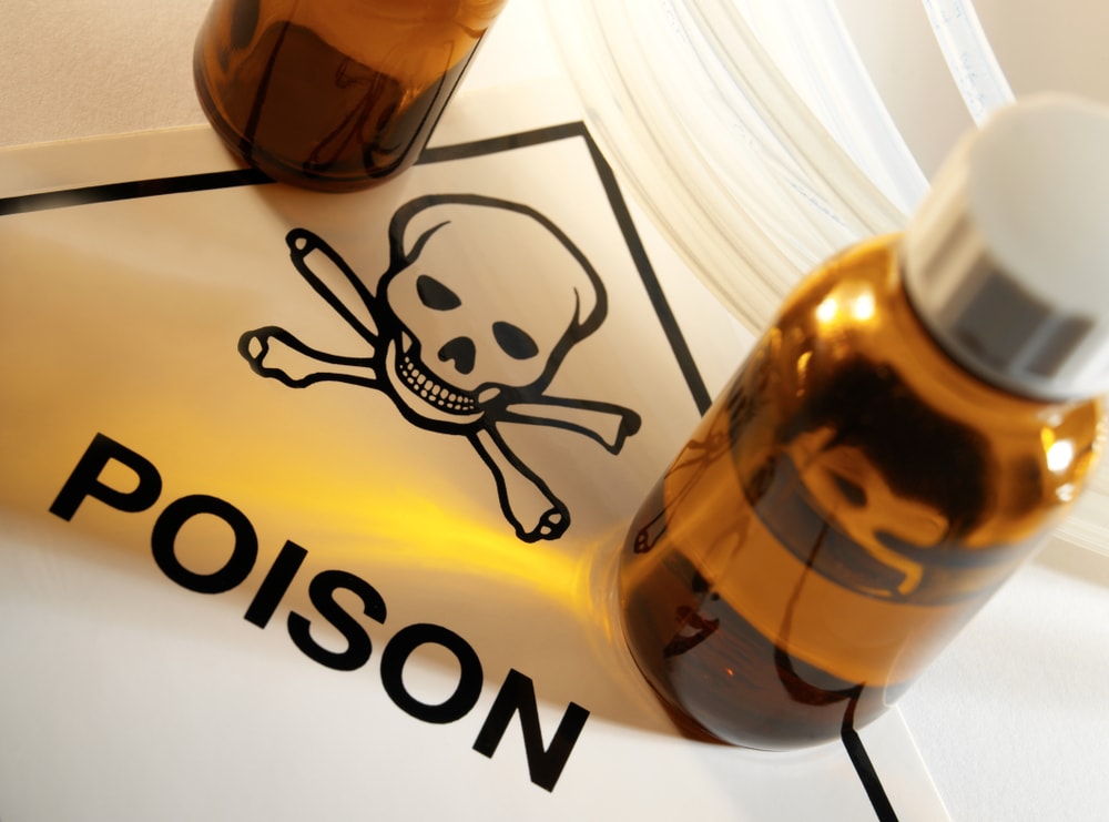 Pet Poison Prevention Awareness Month 2026: How to Prepare