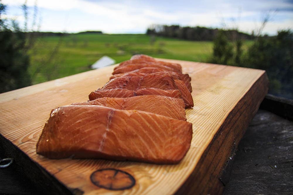 What Is Salmon Meal in Dog Food? Vet-Approved Facts & FAQ