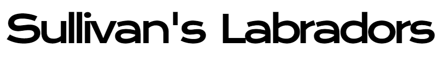 sullivan's labs