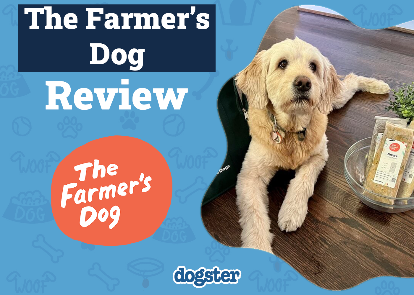 The Farmer’s Dog Food Review 2026: Pros & Cons (Vet Approved)