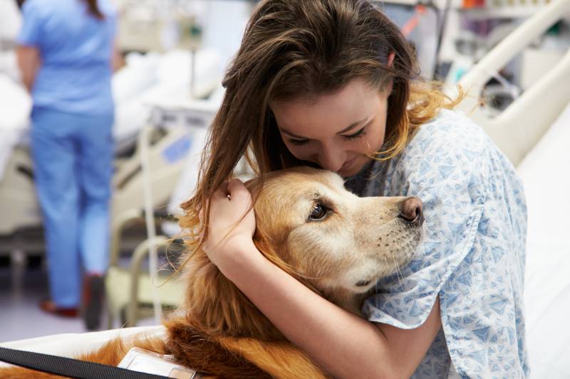 Mental & Physical Health Benefits of Therapy Dogs: 10 Facts & FAQ