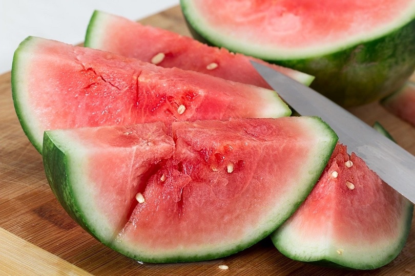 Are Watermelons Good for Dogs? Nutrition Facts & Feeding Tips