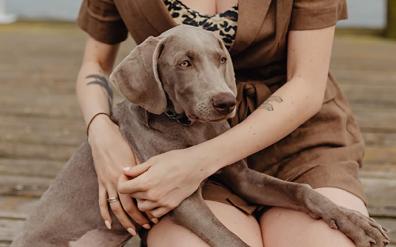 How Much Does It Cost to Own a Dog in Canada? 2026 Price Guide