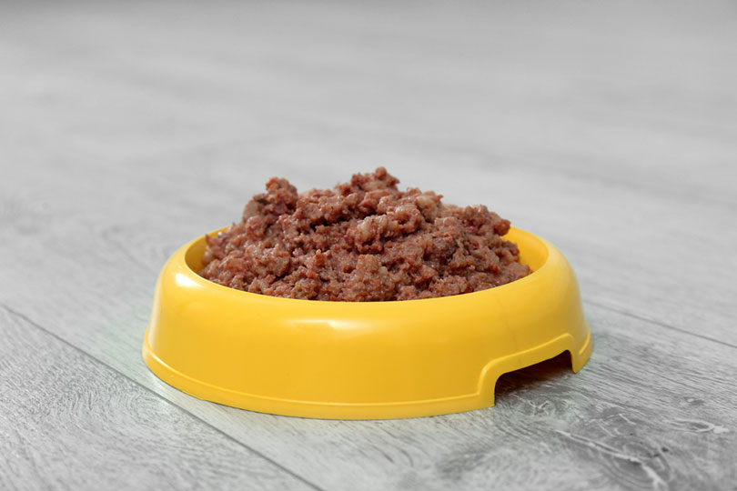 Sodium Selenite in Dog Food: Vet-Verified Nutrition Info, Risks & FAQ