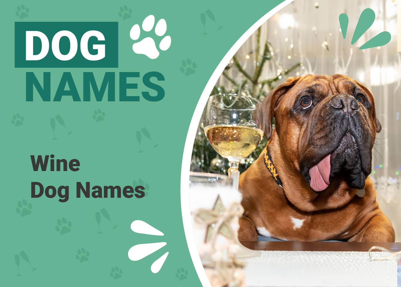 145 Adorable Wine Names for Dogs: Ideas for Fancy Canines