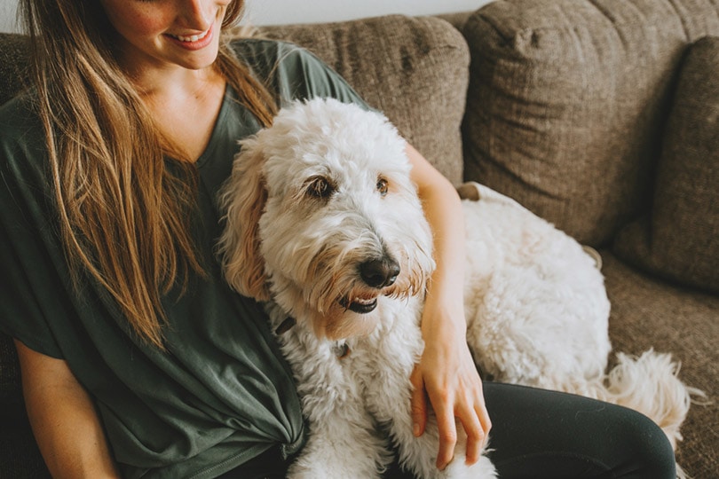 9 Best Pet Sitting Apps in 2026 - Reviews & Top Picks