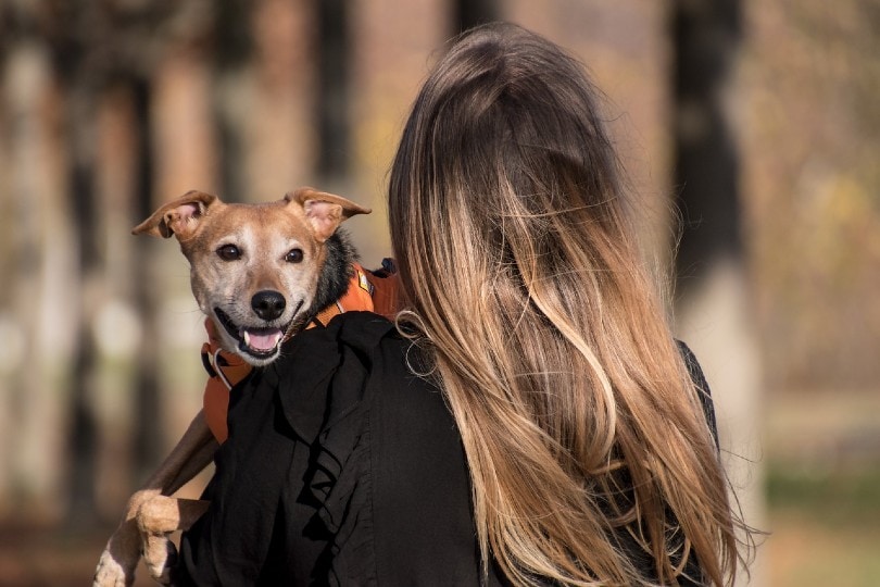 Do Dogs Like Being Picked Up or Held? Vet-Verified Facts & Tips