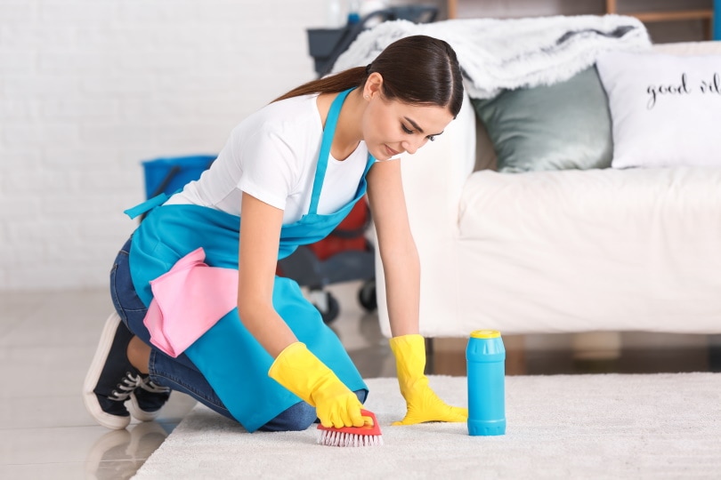 9 Dog-Safe Cleaning Products You Must Have at Home (Vet-Approved)