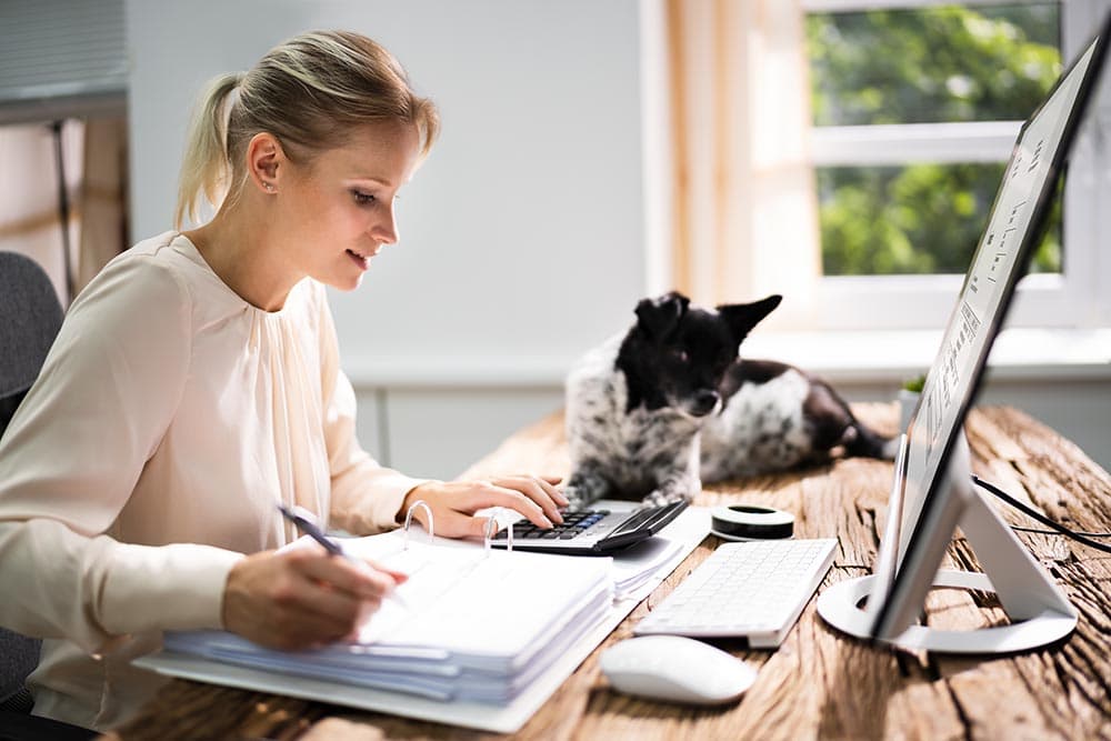 Can I Claim Dog Food on My Taxes in 2026? Pet-Related Deductions Guide
