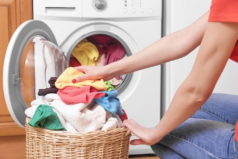 How to Clean Dog Hair Out of a Washing Machine: 4 Simple Removal Steps