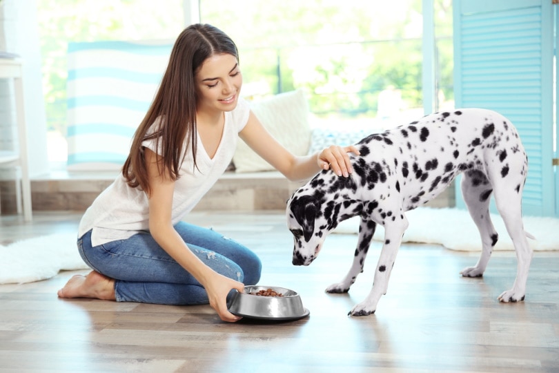 Is Chicken Liver Good for a Dog With Pancreatitis? Our Vet Explains